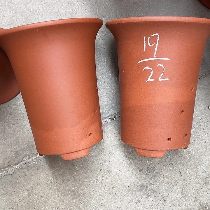 周深周深周深周深