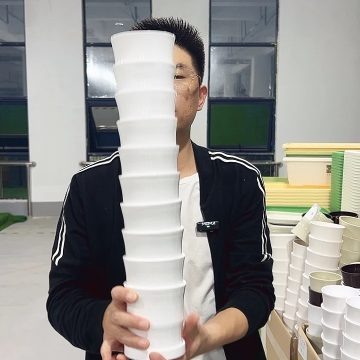 竹节口10高10白色10只带托