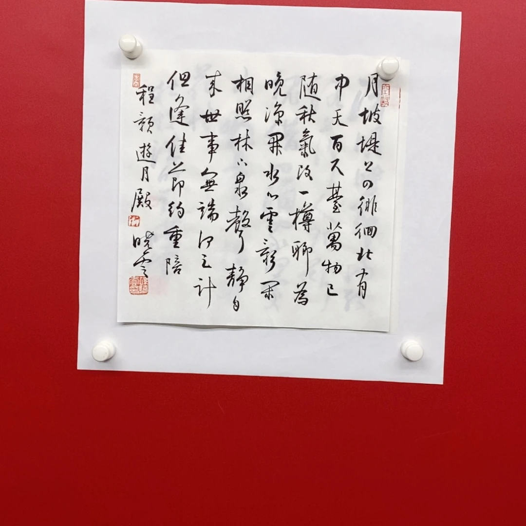 尚古202565698563225