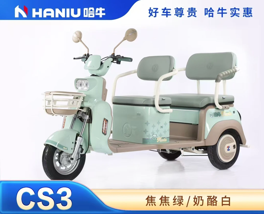 小型家用休闲代步一体车CS3