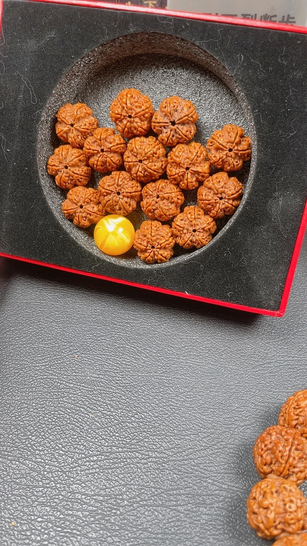 霸王花，原生态，尼泊尔大金刚。8号