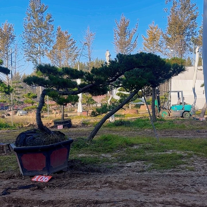 完全开放5005808755