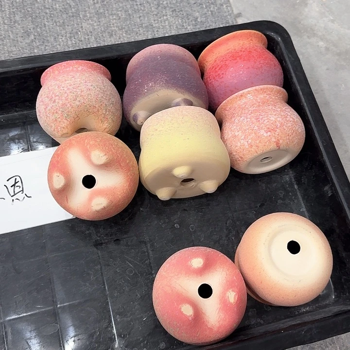 陶恩小恩小姐姐专属盆盆
