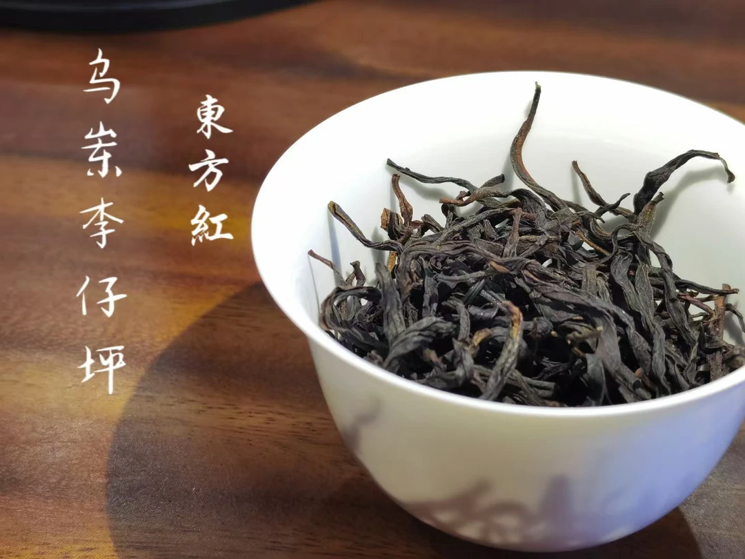 古树茶 “不退换”品鉴装乌岽单株古树茶 山韵老枞韵味足