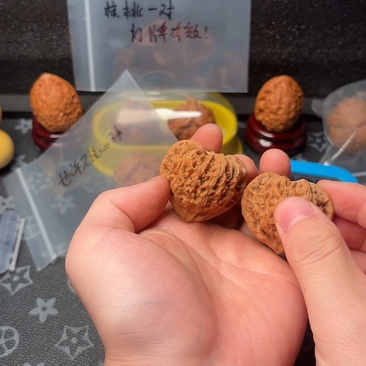 也***动把件文玩核桃核桃等经济作物的栽培