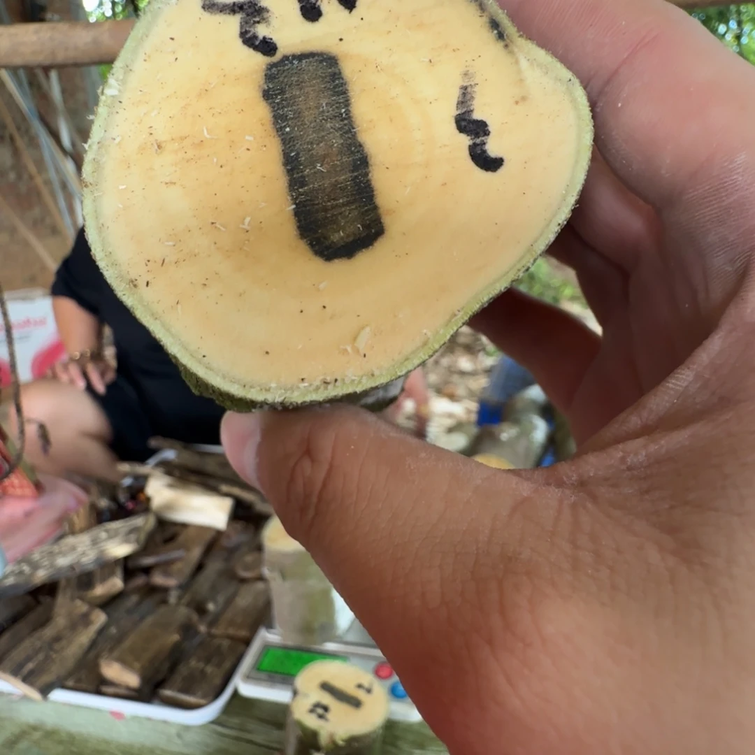 ，***线香奇楠沉香原木