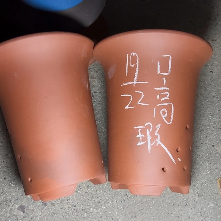 周深周深周深周深