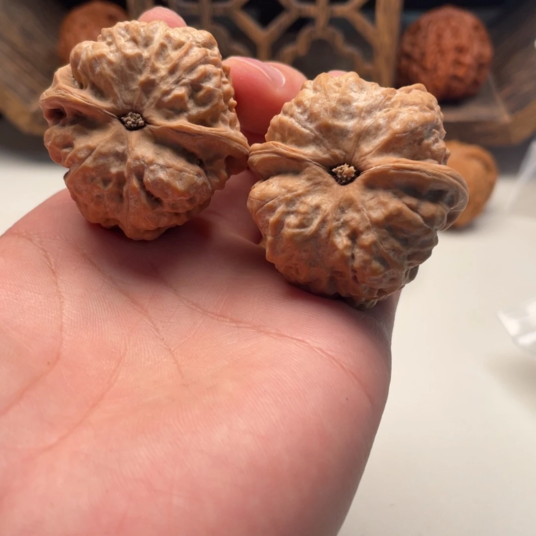 伟***哥大叶紫檀（黑酸枝木类）蛤蟆头文玩C42