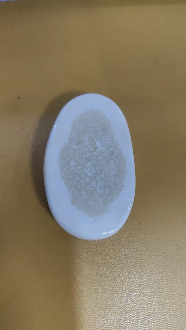 猛犸虬约48.4克饼子TD1113