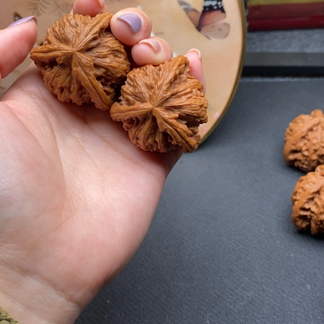 煲*范白狮子1111111111