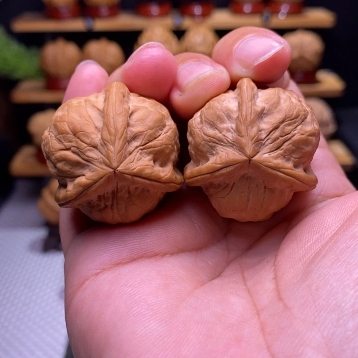 核桃云铁甲壳虫三棱63号