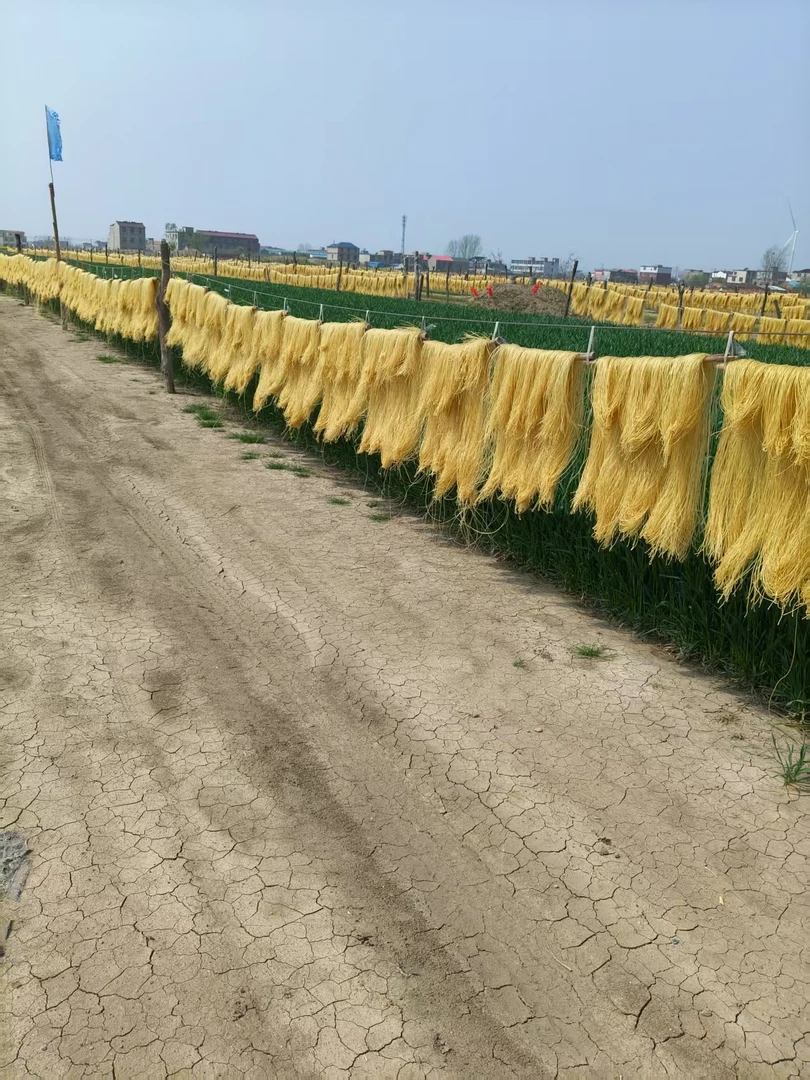 牛肉汤黄色粉丝红薯粉条，粉条红薯粉白菜正宗纯粉条