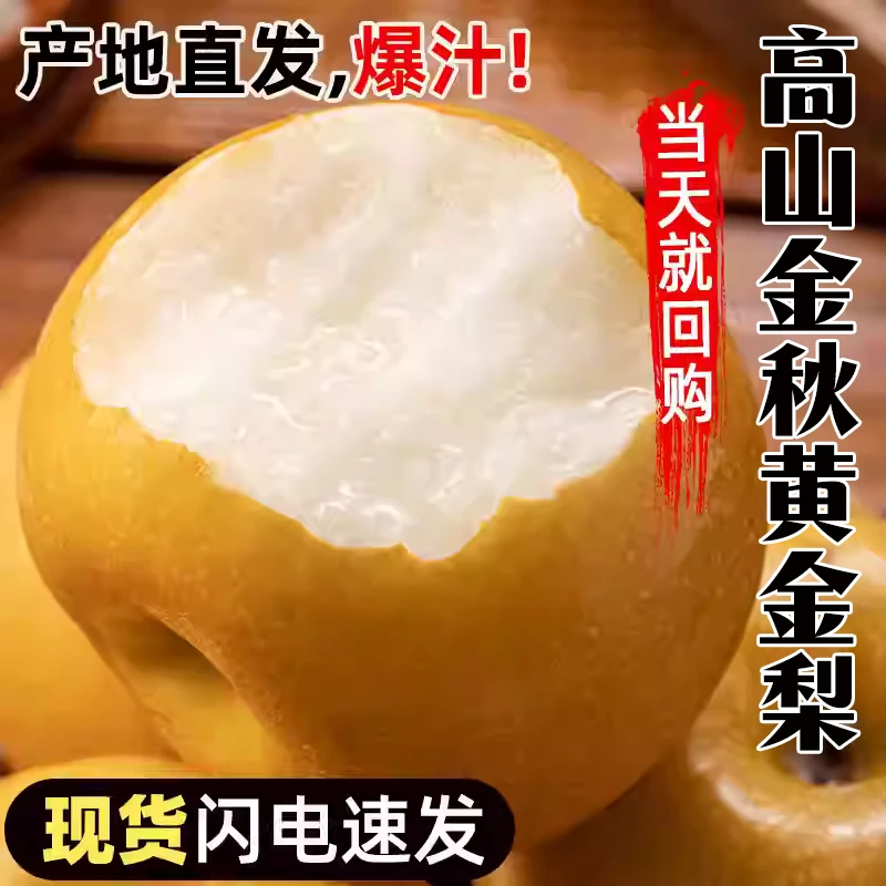 现场打包现摘高山金秋黄金蜜梨当季新鲜水果整箱5/10斤坏果包赔