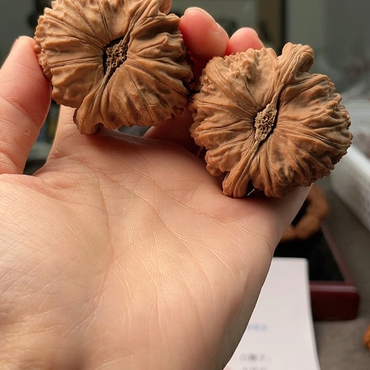 文玩核桃把件阿*全品48白狮子