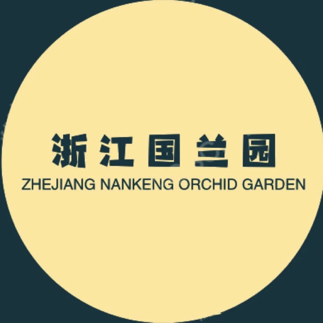 直播间（一物一拍）兰花苗