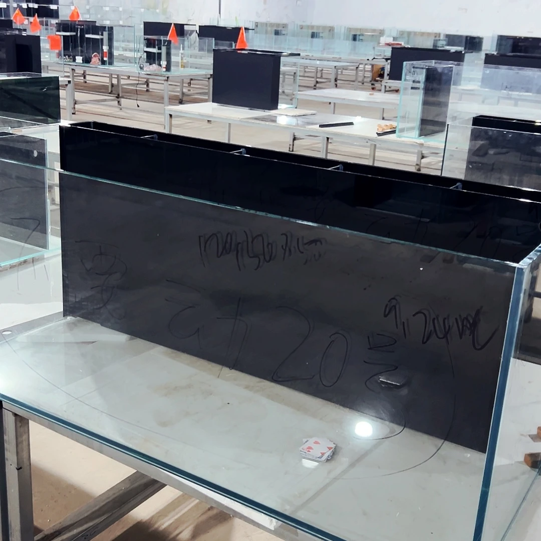 毛***爱玻璃经典背120.50.50.单进单出全套，微瑕