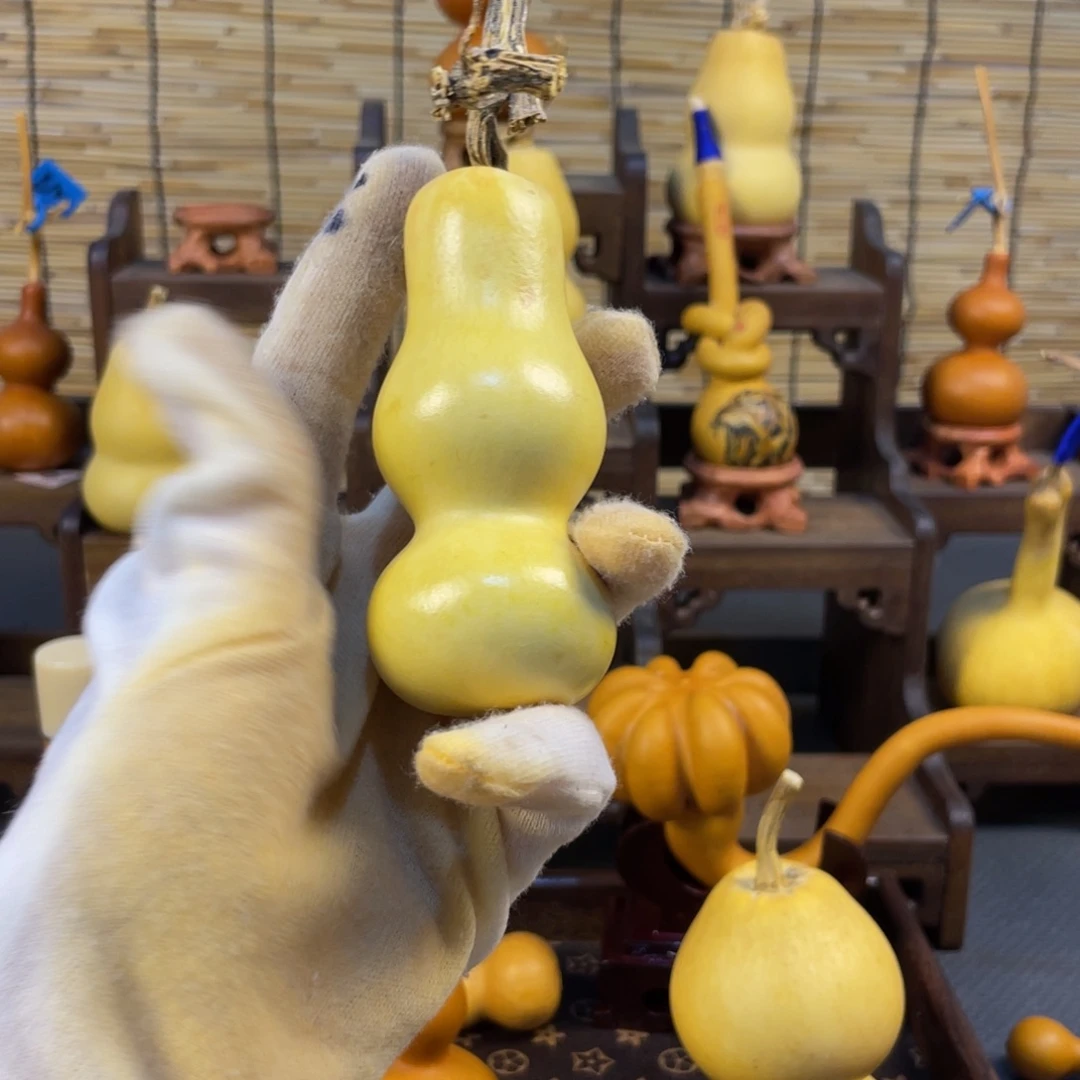 *****我的小姐姐们都是我