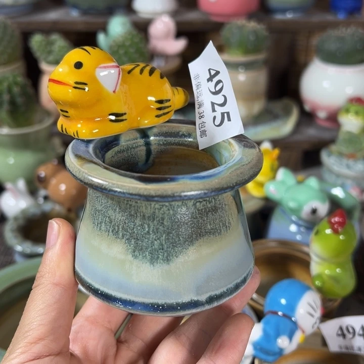 口5高6  活动价满30包邮