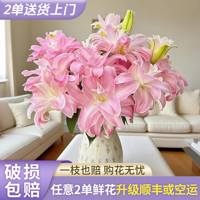 【源头优选】水蜜桃重瓣百合云南直发鲜花家居水养插花鲜切花
