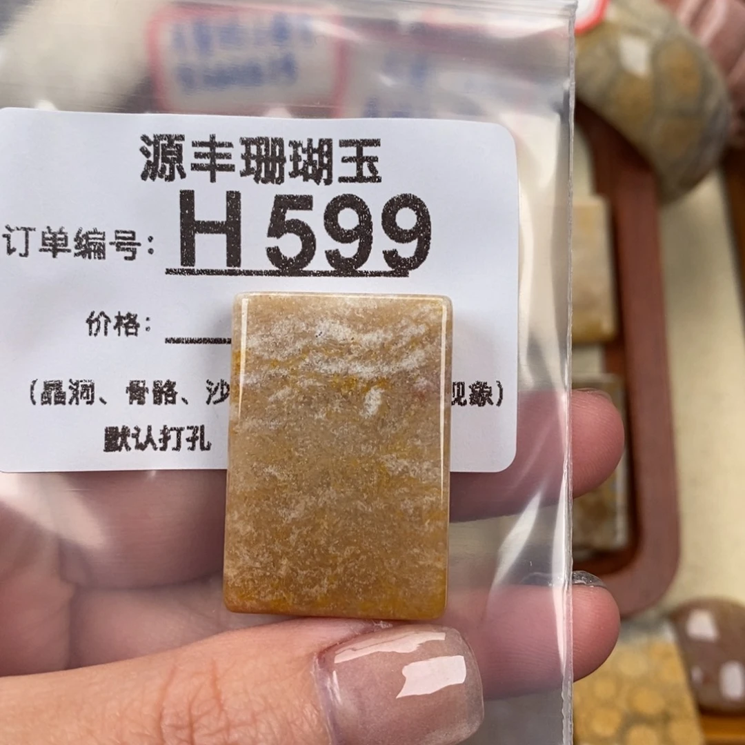 硅化玉颈饰未镶嵌I***x