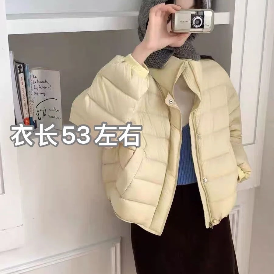 1119 高级感排骨羽绒服女立领