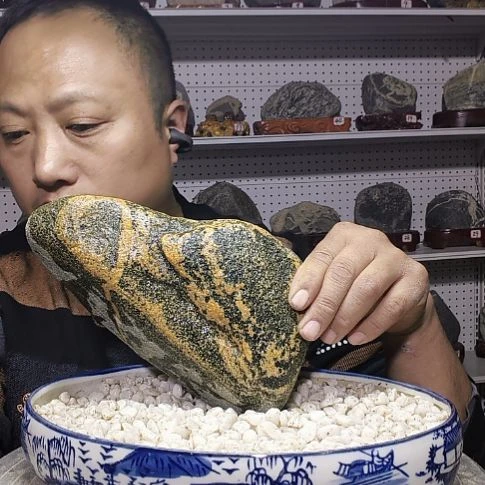 金蟾。天然葫芦雕刻