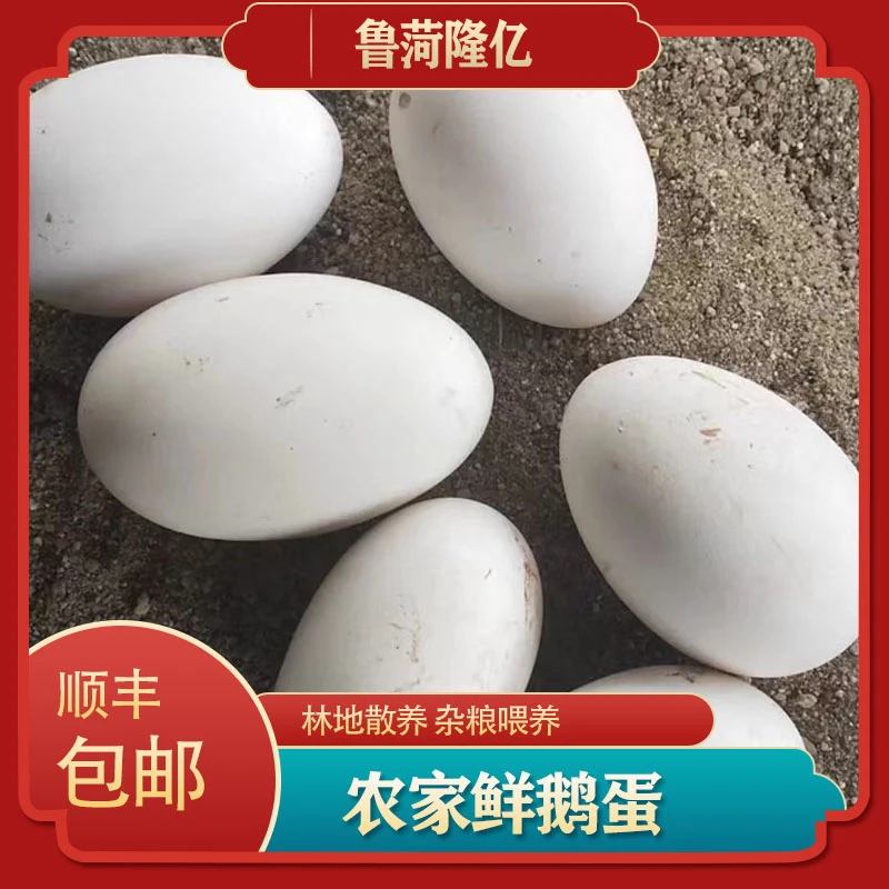 【鲁菏隆亿】鹅蛋保真现捡现发一箱12枚源头农场自营现捡破损包赔