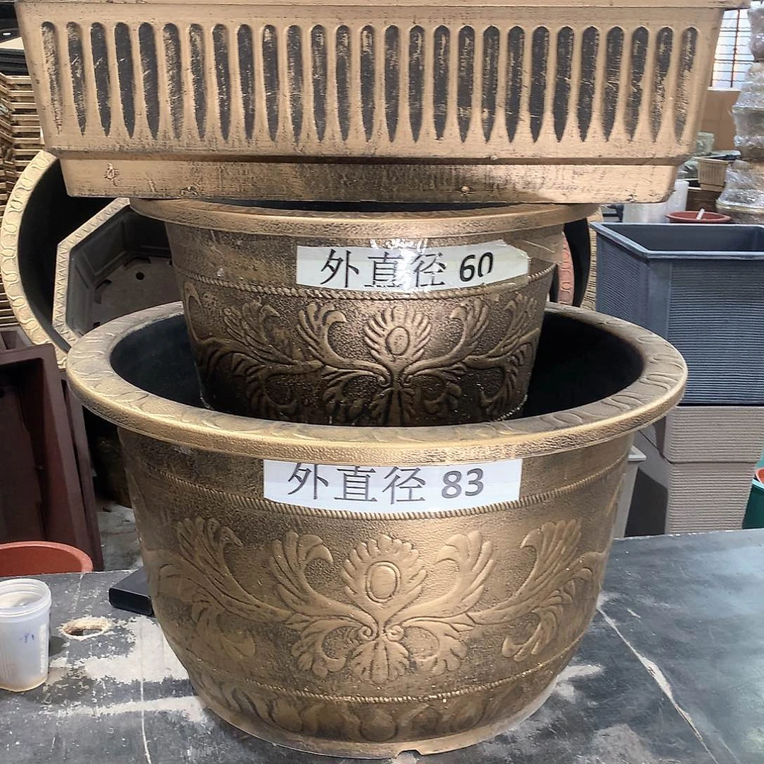 向***杂花盆花开了一个