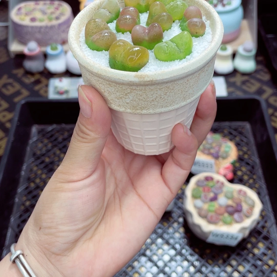 w5335 带盆土发货一物一拍