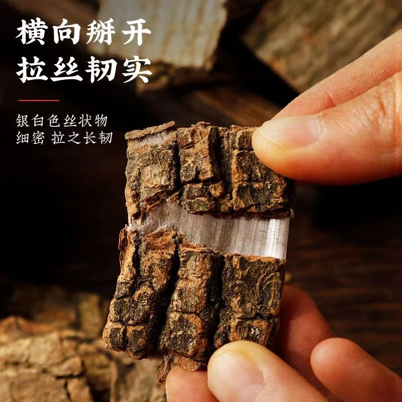 杜仲优选新鲜老树杜仲皮煲汤泡茶洁净丝浓效果好无熏无染胶质浓郁