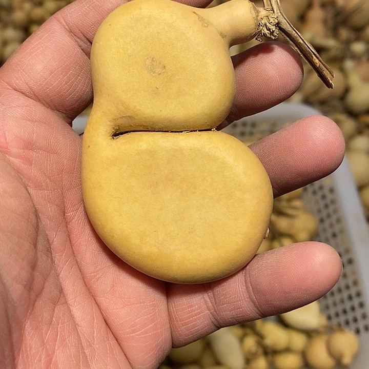 旎****邦精品葫芦手把葫芦18