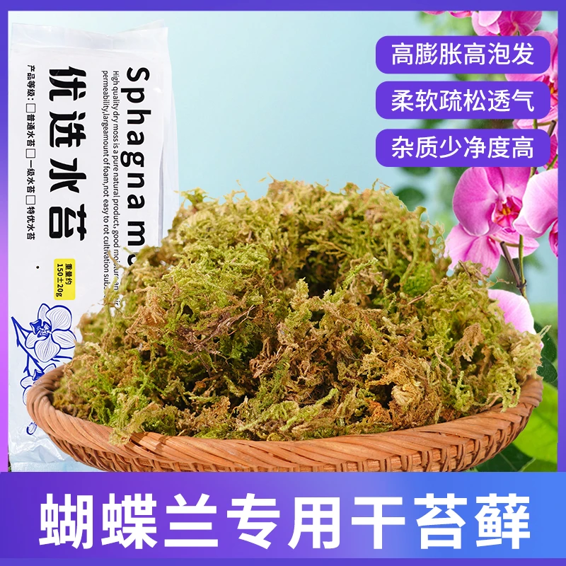 【厂家直销】优质干苔藓青苔蝴蝶兰水苔营养土无菌育苗乌龟冬眠垫材