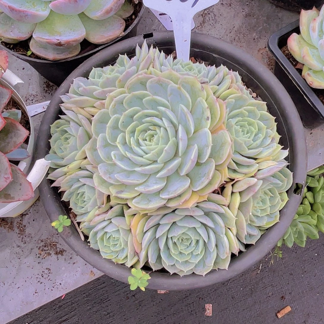 请***森0000000000000000563