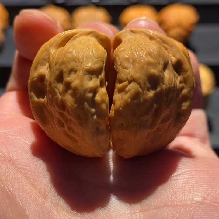 文玩核桃把件33尺纽扣半壁