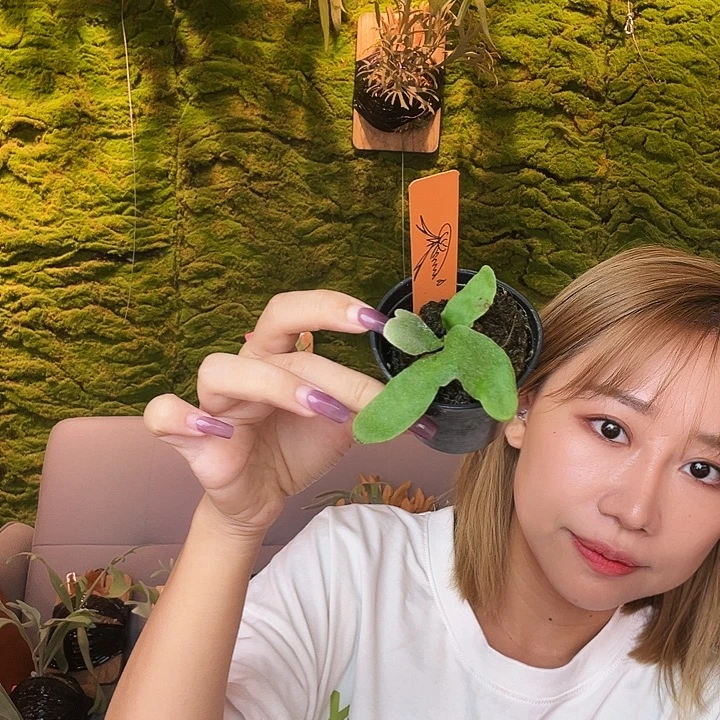 完全开放wanna 劳拉 带亲签