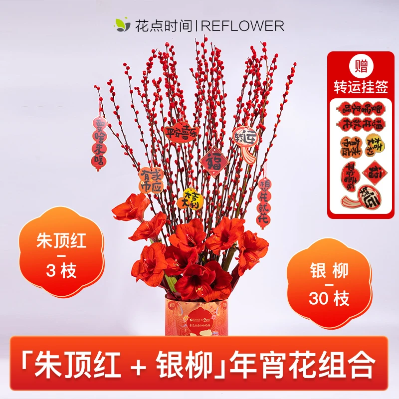 【花火生财】2025年宵花朱顶红切花+银柳新春蛇年鲜花组合花点时间