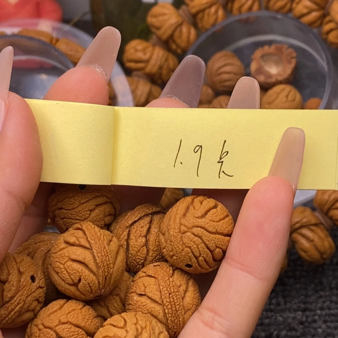秦岭山脉龙纹桃核 14