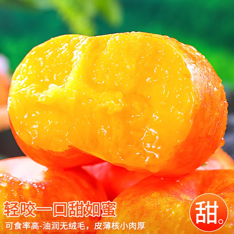 山东蒙阴紫霞油蟠桃装彩虹油蟠桃芒果蟠桃2-4斤新鲜夏日尝鲜