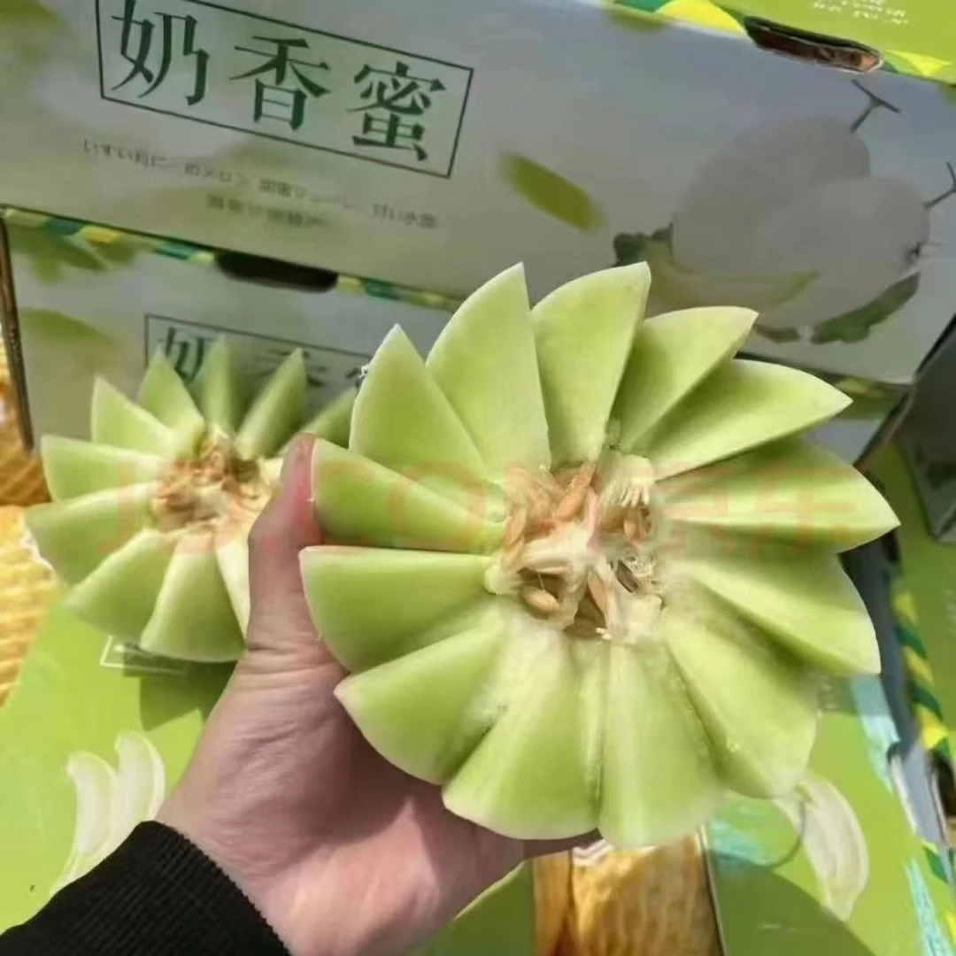 海南奶香蜜瓜香甜可口京东发货海南省