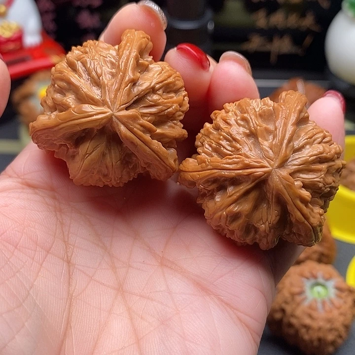 核桃39拼接白狮子