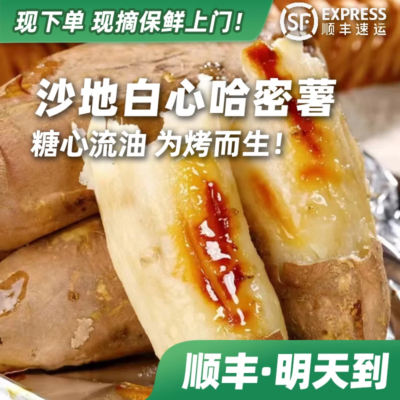 【下单·明天到】哈密白薯农家红番薯红薯软糯香甜哈密冰糖心蜜薯新鲜白哈密薯上海市