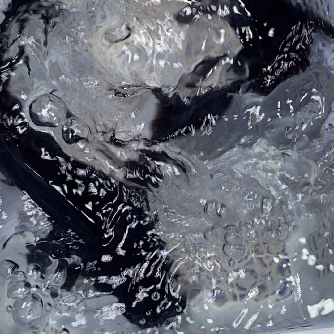 锦鲤锦鲤（无开箱视频不售后）