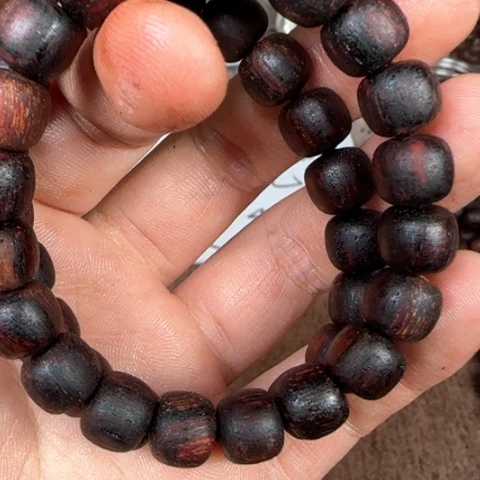 藤类1.0东枝缅甸小叶老型降真香