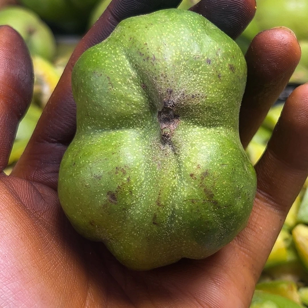 核桃蛤蟆头异形收藏级保熟开果不退不换