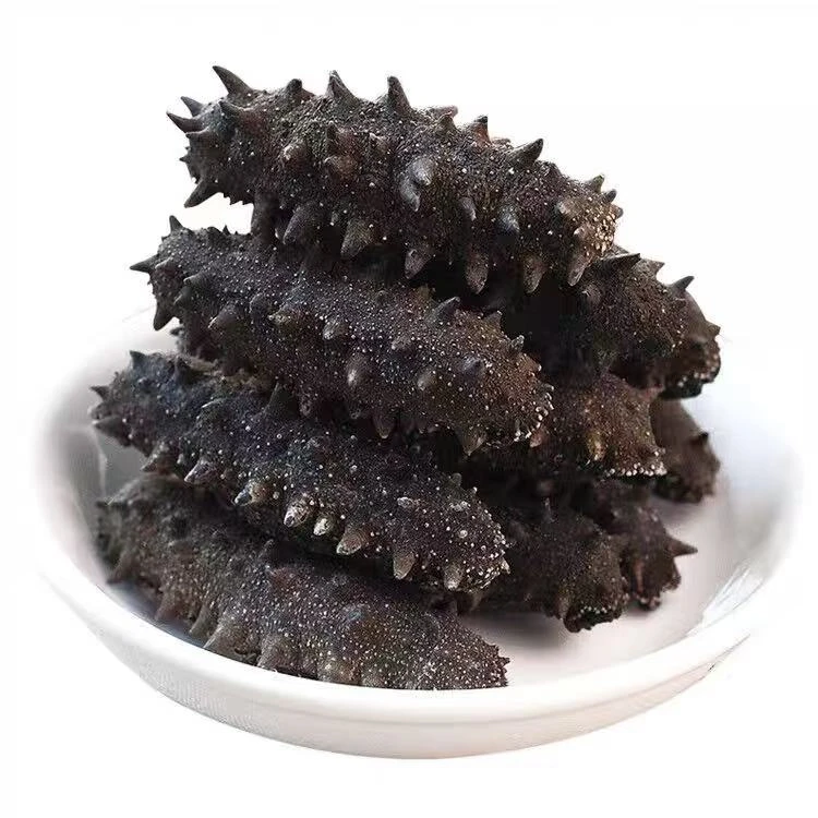 大连野生海参干货淡干海参辽参刺参