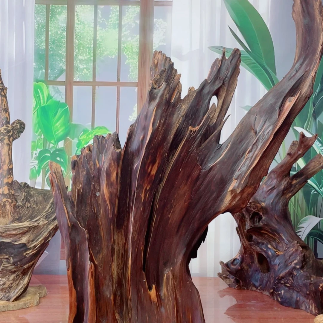 你目的名优木兰狠厉我乐了