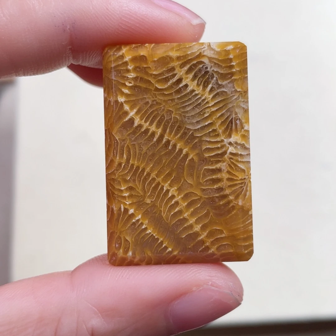 【闪购商品】未镶嵌吊坠(赠链)硅化玉