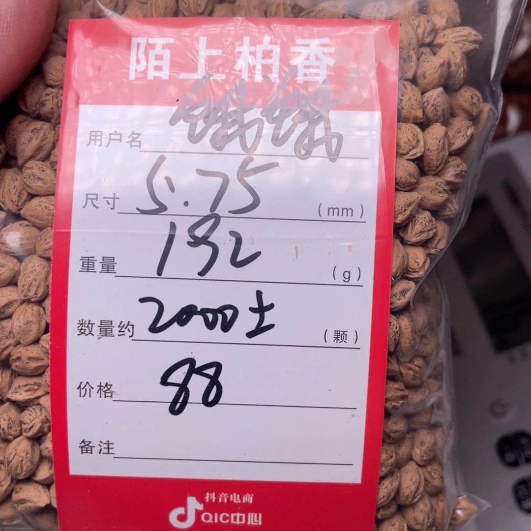 柏香籽/百香籽吊坠饿*饿