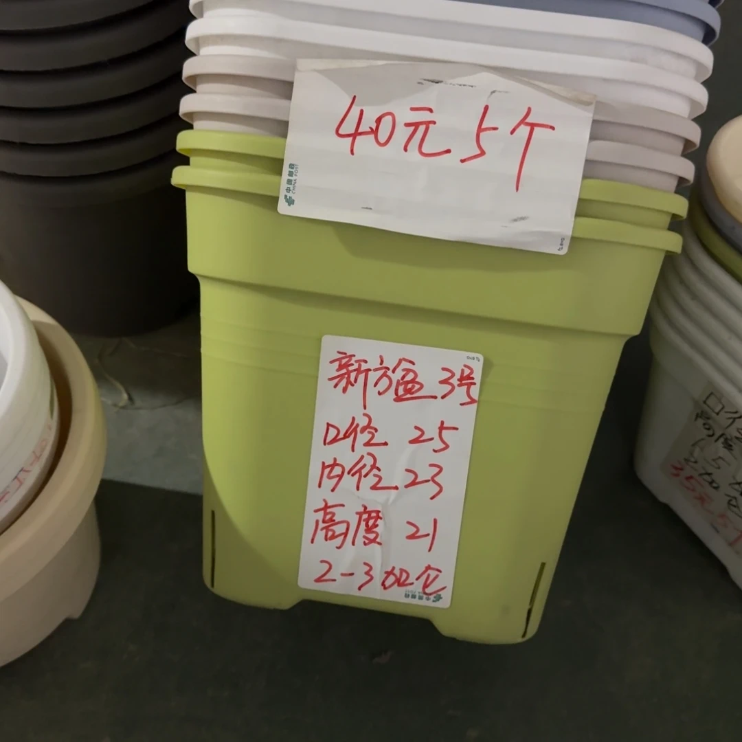 新款方盆口径25无拖果绿5个