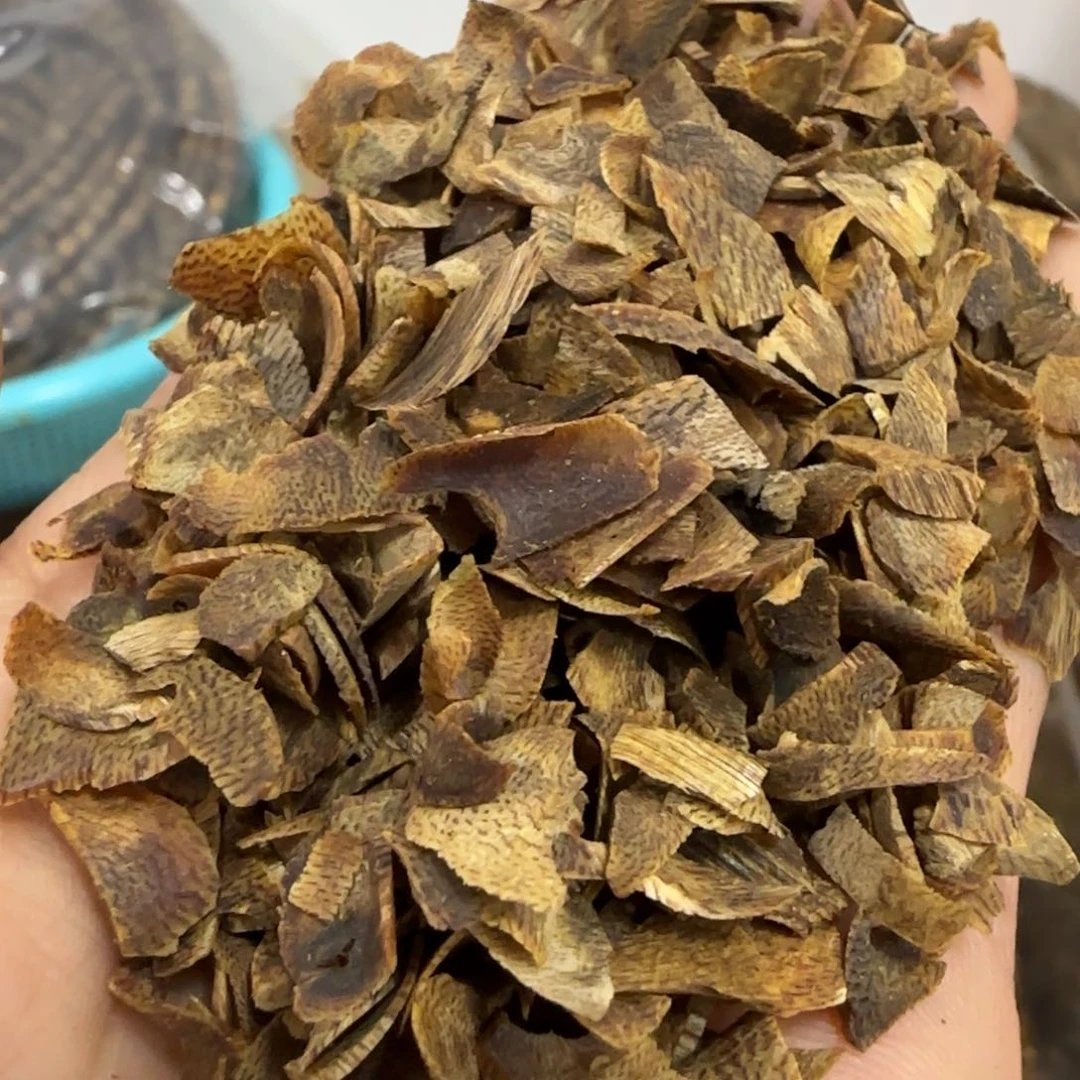 沉香木摆件海南棋楠沉香淳化乌身切片料20克